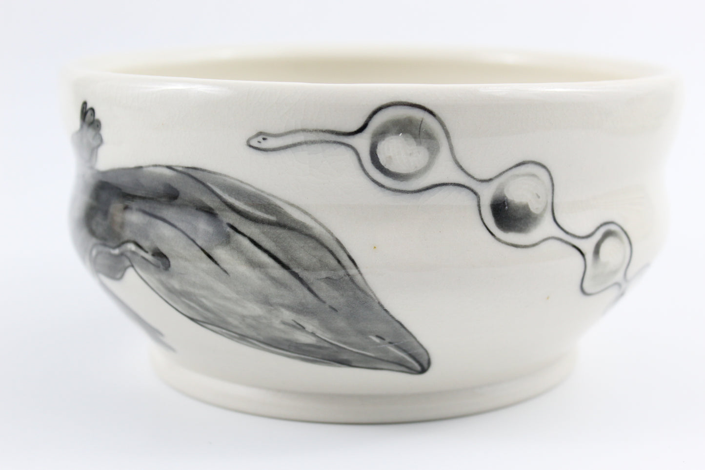 Hellbender and eggs bowl
