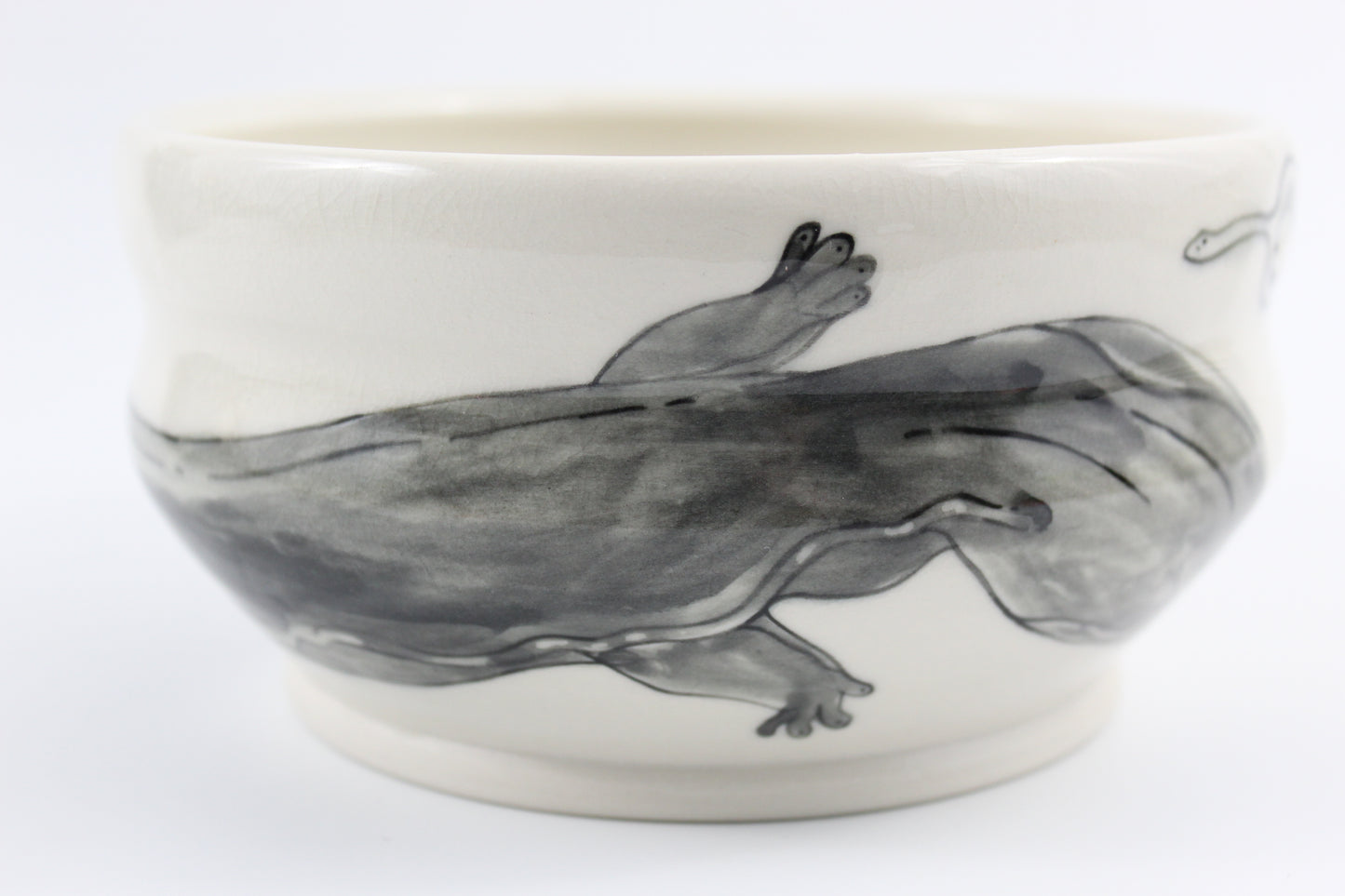 Hellbender and eggs bowl
