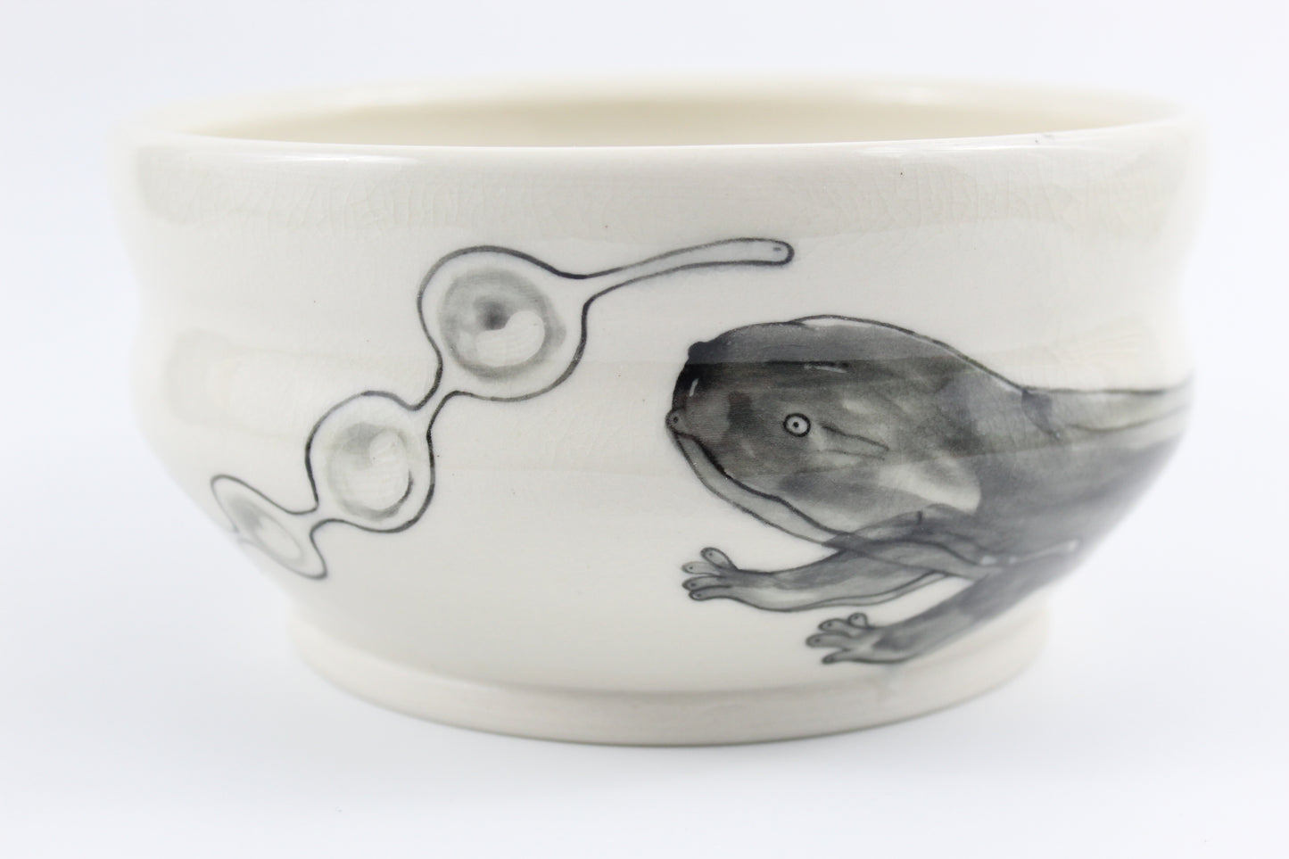 Hellbender and eggs bowl