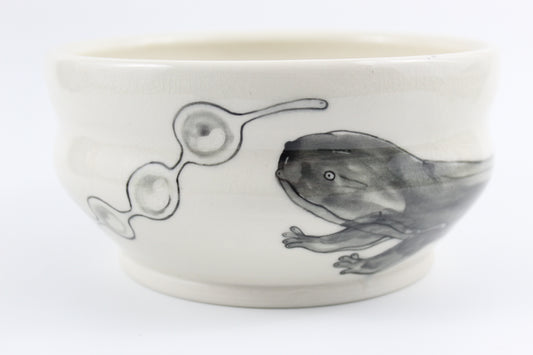 Hellbender and eggs bowl