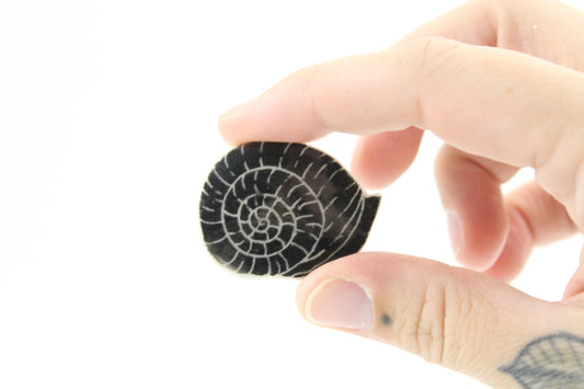Snail shell pin